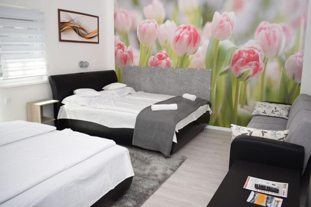 Trendi Apartman Siofok Room photo